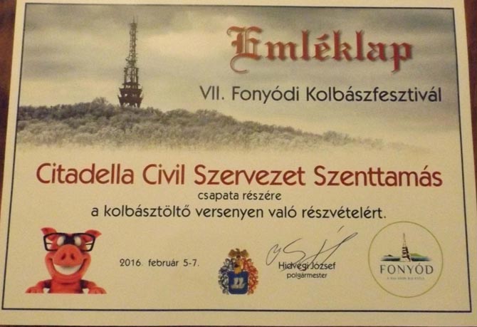 A Fonyódi kirándulók csapata